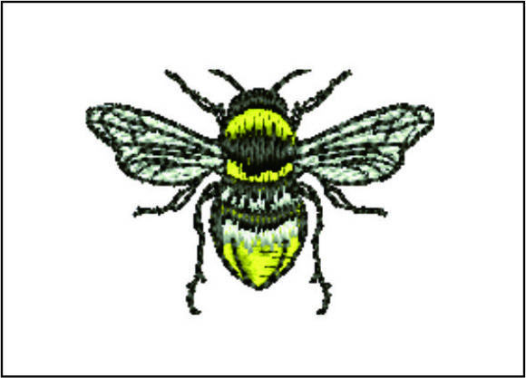 A Bee Detailed Review for Holiday Product Creators