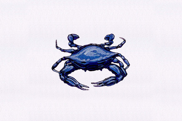 From Sketch to Sweatshirt: The Blue Crab Embroidery Review